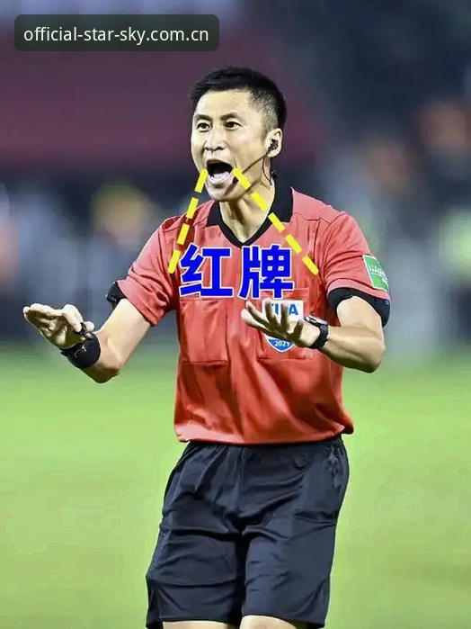 官方访问节点2026手机版安装教程 揭秘马宁不刷社交网络的背后逻辑——世界杯裁判的自我进化法则
